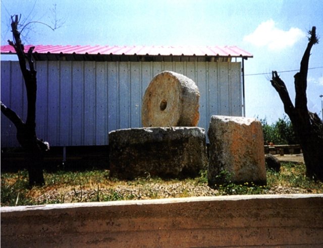 photo17.jpg