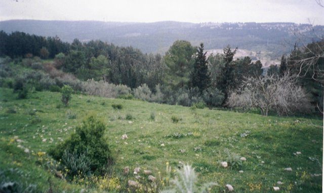 photo18.jpg