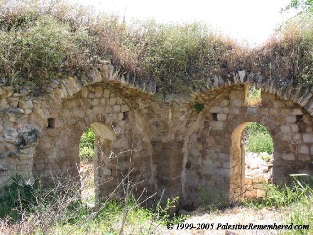 photo25.jpg