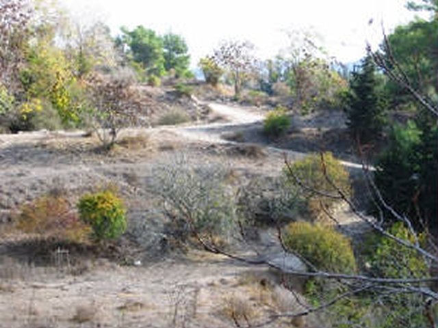 photo35.jpg