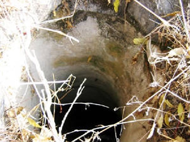 photo39.jpg