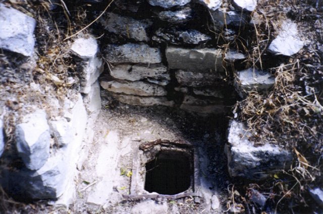 photo43.jpg