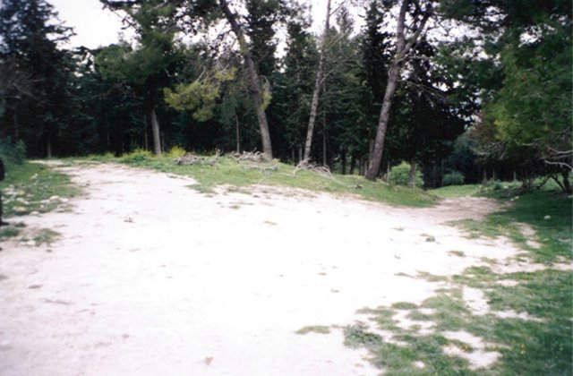 photo47.jpg