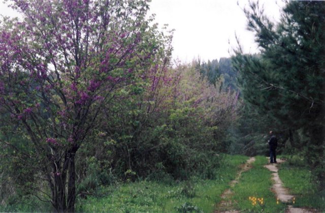 photo48.jpg