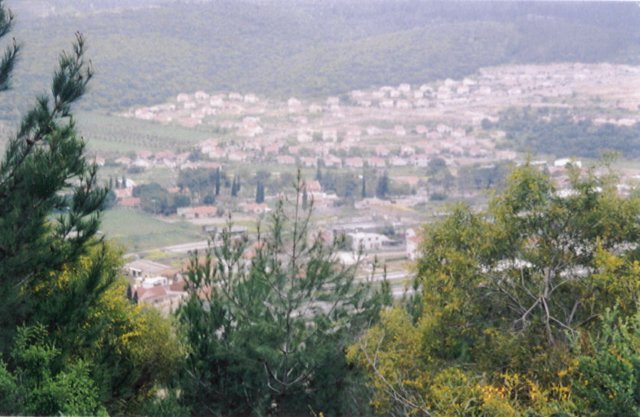 photo50.jpg