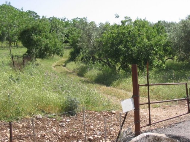 photo53.jpg