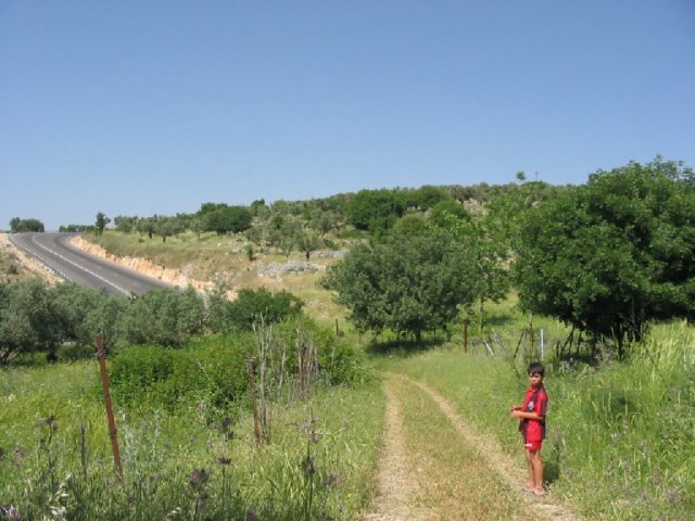 photo54.jpg