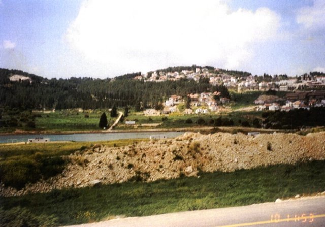 photo59.jpg