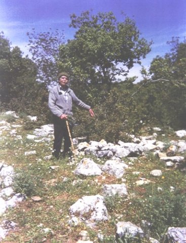 photo62.jpg