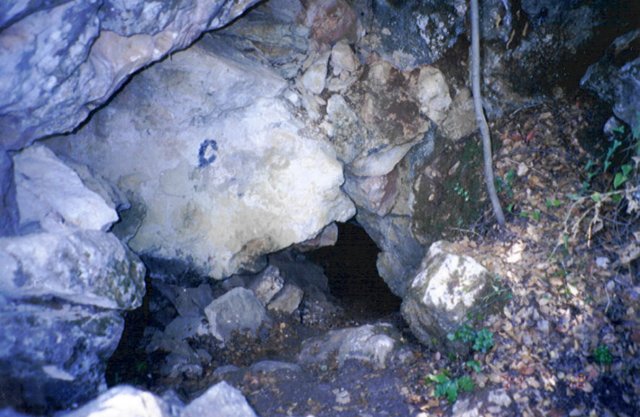 photo63.jpg