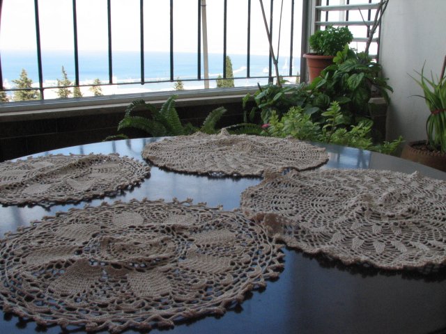 photo13.jpg